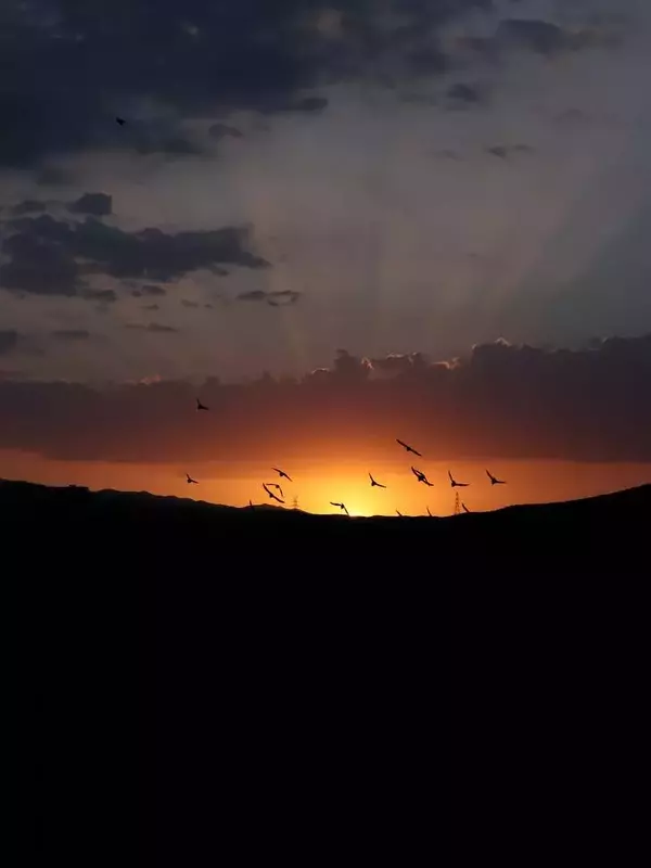 نمونه کار عکاسی نسرین  بیات