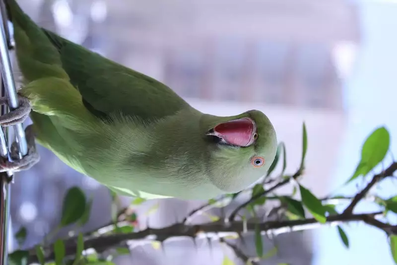 نمونه کار عکاسی نسرین  بیات