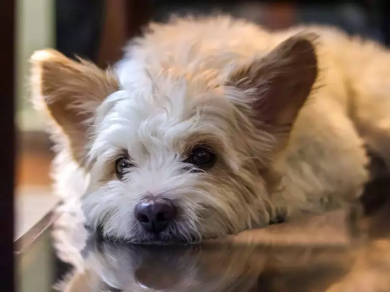 نمونه کار عکاسی نسرین  بیات