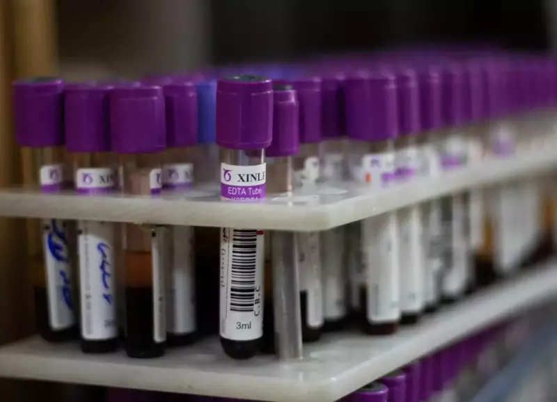 نمونه کار عکاسی مریم السادات میرمحمد