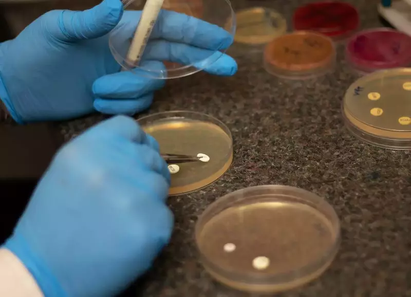 نمونه کار عکاسی مریم السادات میرمحمد