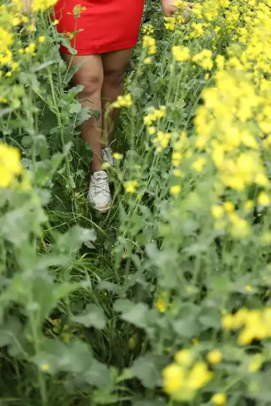 نمونه کار عکاسی حمیده محسنیان