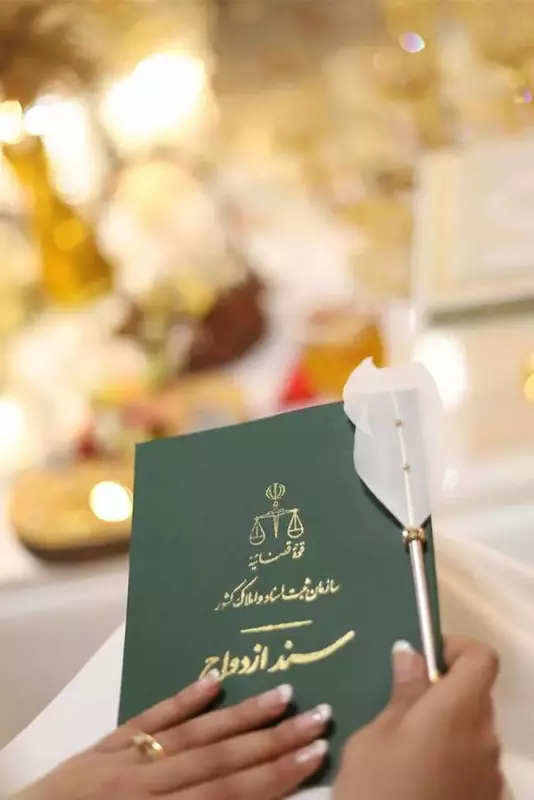 نمونه کار عکاسی حمیده محسنیان