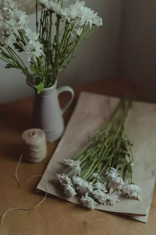 عکاسی تبلیغاتی چیدمان از مهسا ابراهیمی