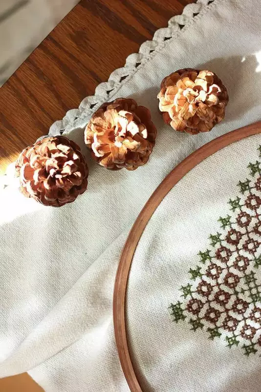 عکاسی تبلیغاتی چیدمان از مهسا ابراهیمی