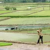 نمونه کار عکاسی کودک توسط عباس زاده ، ثبت شده در 2025-10-03