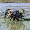 نمونه کار عکاسی کودک توسط عباس زاده ، ثبت شده در 2025-10-03
