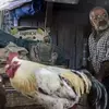 نمونه کار عکاسی سفر و گردشگری توسط عباس زاده ، ثبت شده در 2025-10-03
