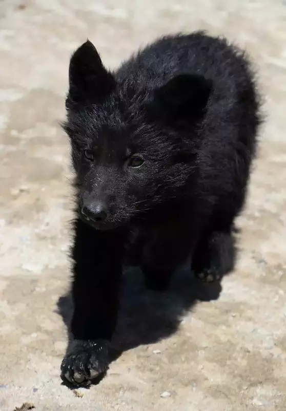 نمونه کار عکاسی زبیده  کلهر