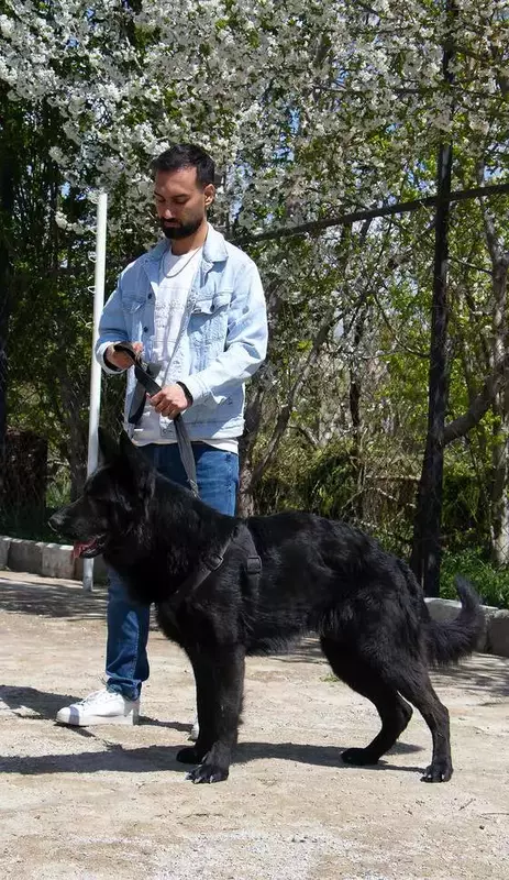 نمونه کار عکاسی زبیده  کلهر