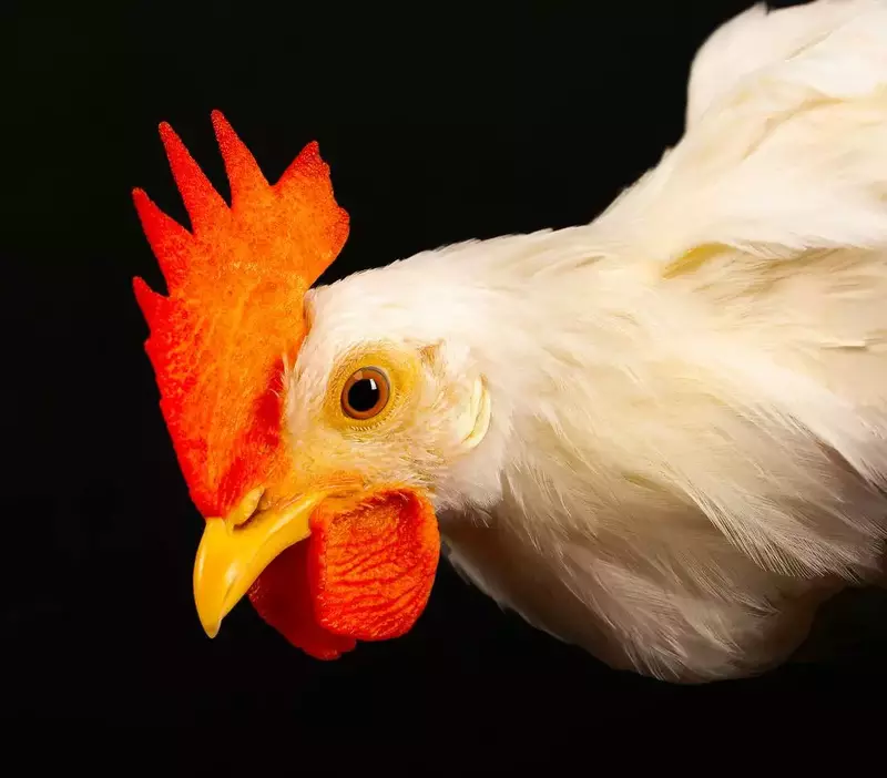 نمونه کار عکاسی زبیده  کلهر