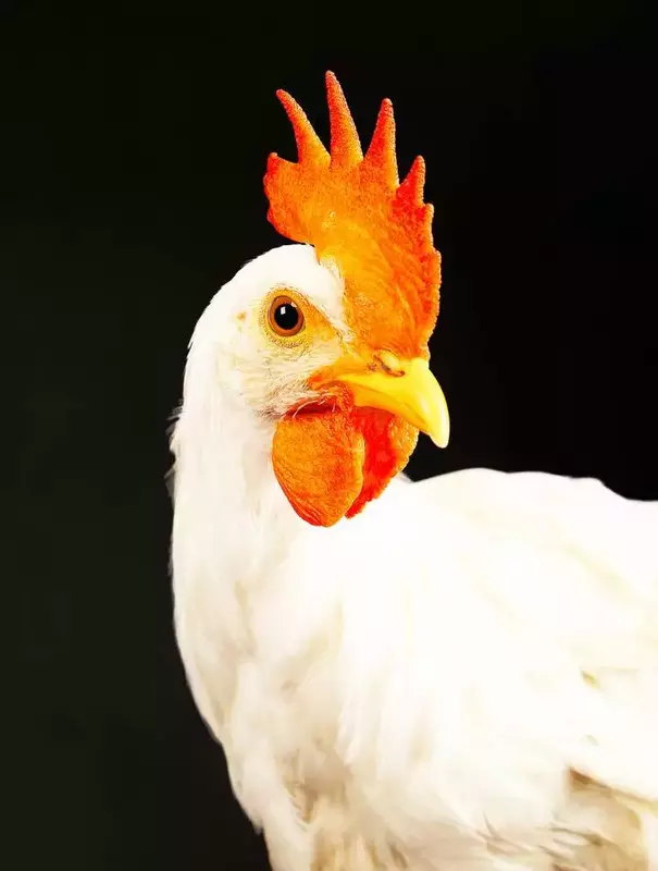 نمونه کار عکاسی زبیده  کلهر