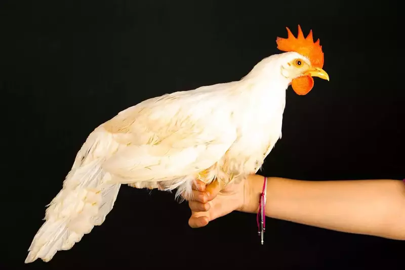 نمونه کار عکاسی زبیده  کلهر