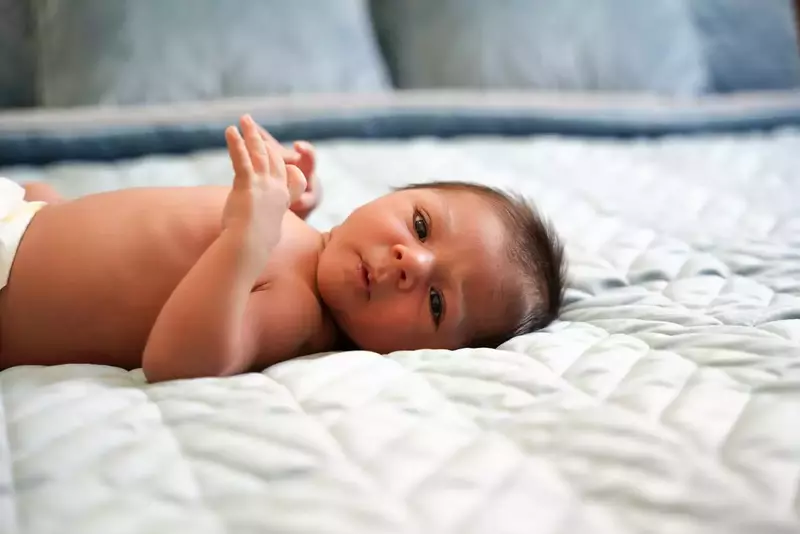 نمونه کار عکاسی علی ناصراسلامی