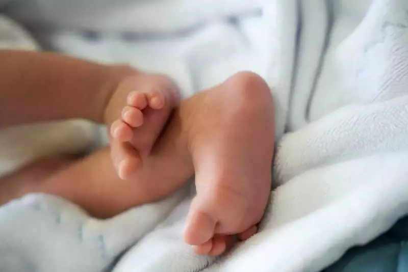 نمونه کار عکاسی علی ناصراسلامی