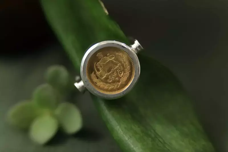 نمونه کار عکاسی نسیم دباغ