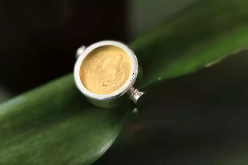 نمونه کار عکاسی نسیم دباغ