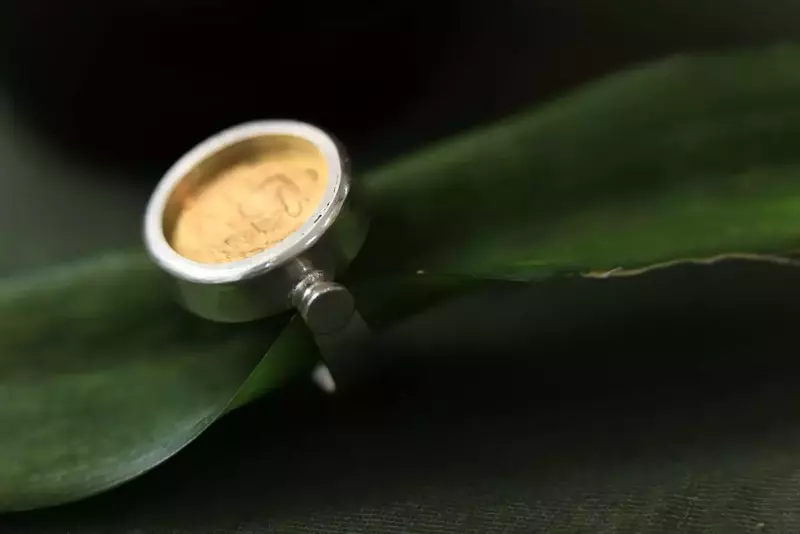 نمونه کار عکاسی نسیم دباغ