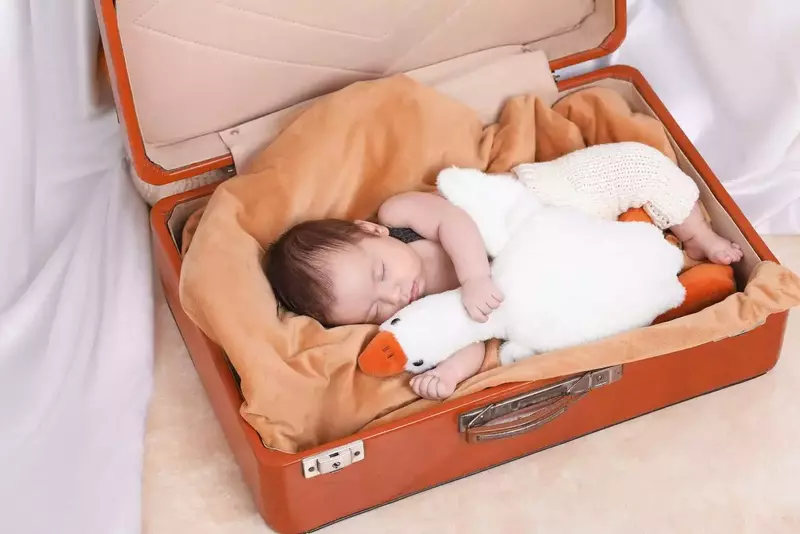 نمونه کار عکاسی نوزاد توسط صفری که در تاریخ 1404-08-05 ** دوشنبه  **  ساعت 04:27PM بارگذاری شده است.