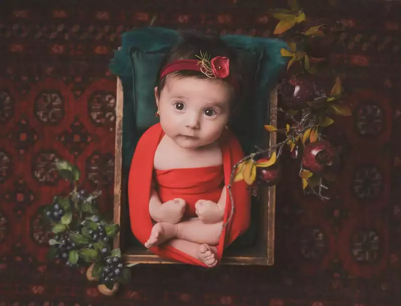 نمونه کار عکاسی نوزاد توسط بیگی که در تاریخ 1404-08-06 ** سه‌شنبه  **  ساعت 12:31PM بارگذاری شده است.