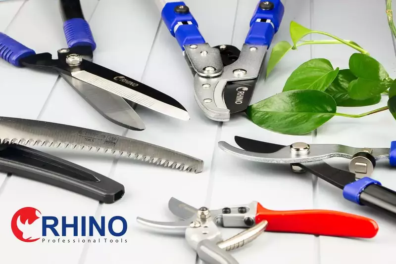 نمونه کار عکاسی سمیرا موسی