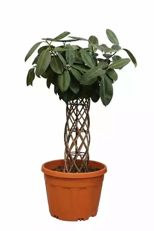 نمونه کار عکاسی صنعتی و زمینه سفید توسط باقری که در تاریخ 1404-08-08 ** پنج‌شنبه  **  ساعت 12:23PM بارگذاری شده است.