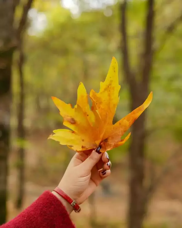 نمونه کار عکاسی افسانه فرزین