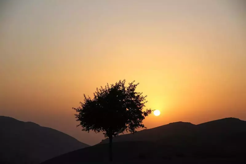 نمونه کار عکاسی مریم رشیدیان