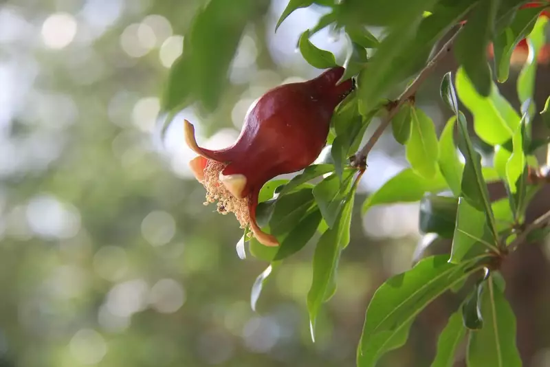 نمونه کار عکاسی مناظر توسط رشیدیان که در تاریخ 1404-08-08 ** پنج‌شنبه  **  ساعت 10:06PM بارگذاری شده است.