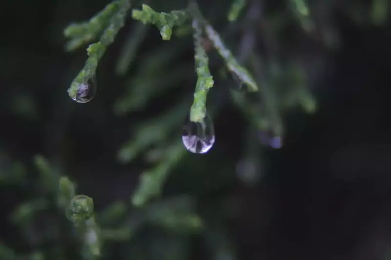نمونه کار عکاسی مناظر توسط رشیدیان که در تاریخ 1404-08-08 ** پنج‌شنبه  **  ساعت 10:07PM بارگذاری شده است.