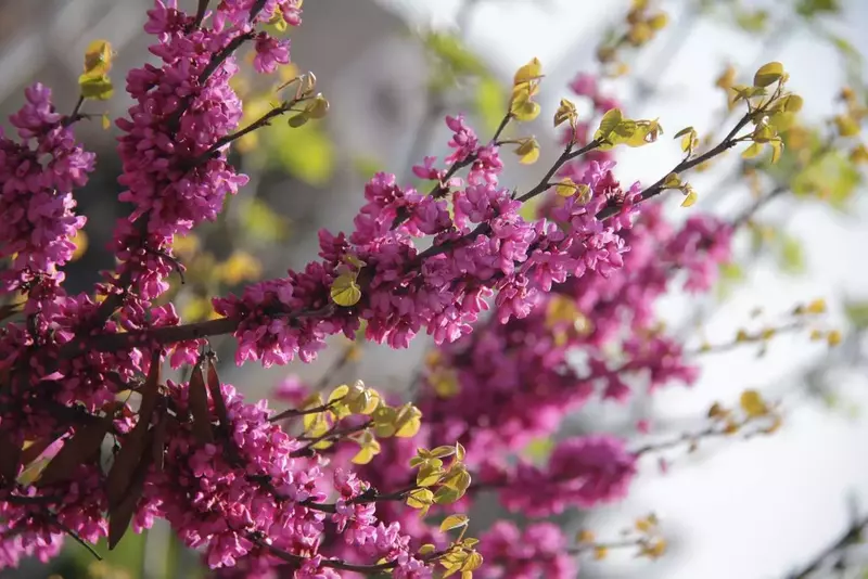 نمونه کار عکاسی مناظر توسط رشیدیان که در تاریخ 1404-08-08 ** پنج‌شنبه  **  ساعت 10:07PM بارگذاری شده است.