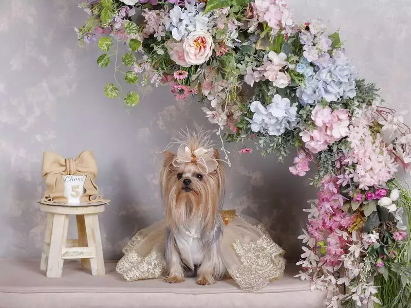 نمونه کار عکاسی زهرا سلیمی نیا