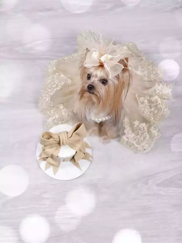 نمونه کار عکاسی زهرا سلیمی نیا