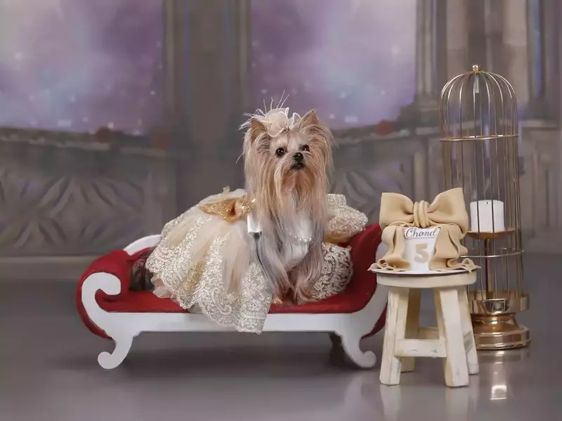 نمونه کار عکاسی زهرا سلیمی نیا