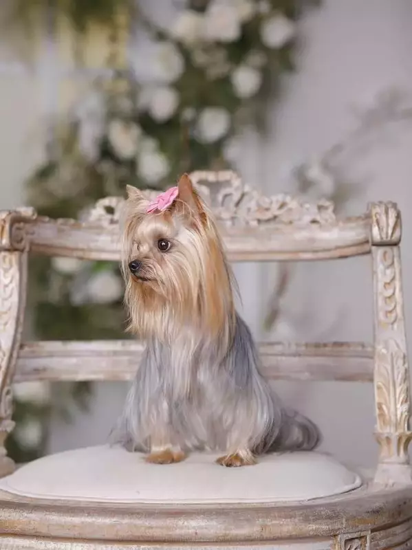 نمونه کار عکاسی زهرا سلیمی نیا