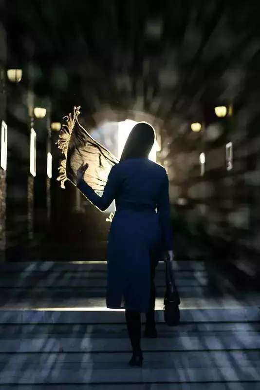 نمونه کار عکاسی مدلینگ توسط ضرغامی که در تاریخ 1404-08-18 ** یک‌شنبه  **  ساعت 04:37PM بارگذاری شده است.