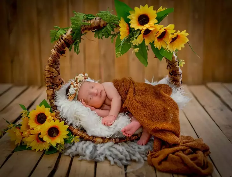 نمونه کار عکاسی مینا ریاسی 