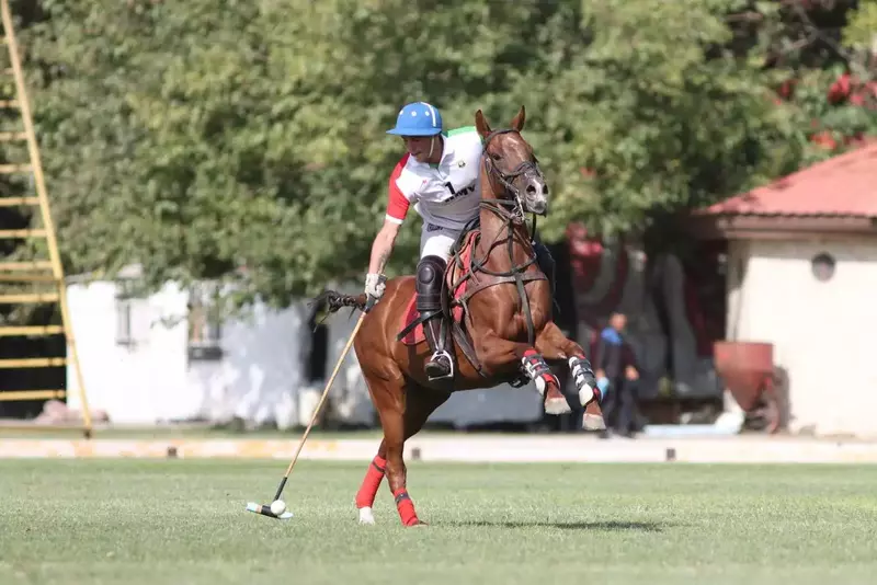 نمونه کار عکاسی ورزشی توسط  روزبه که در تاریخ 1404-08-20 ** سه‌شنبه  **  ساعت 07:43PM بارگذاری شده است.