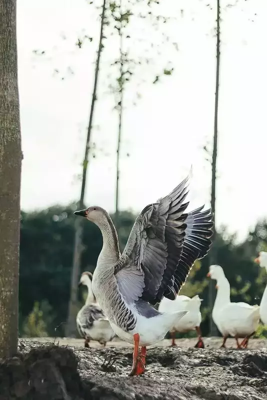 نمونه کار عکاسی مناظر توسط سعادت فر که در تاریخ 1404-08-21 ** چهارشنبه  **  ساعت 11:44PM بارگذاری شده است.
