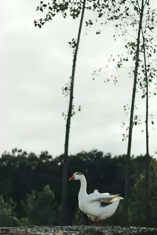 نمونه کار عکاسی مناظر توسط سعادت فر که در تاریخ 1404-08-21 ** چهارشنبه  **  ساعت 11:45PM بارگذاری شده است.