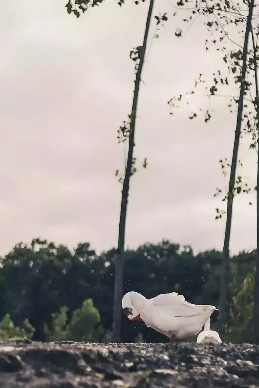 نمونه کار عکاسی مناظر توسط سعادت فر که در تاریخ 1404-08-21 ** چهارشنبه  **  ساعت 11:45PM بارگذاری شده است.