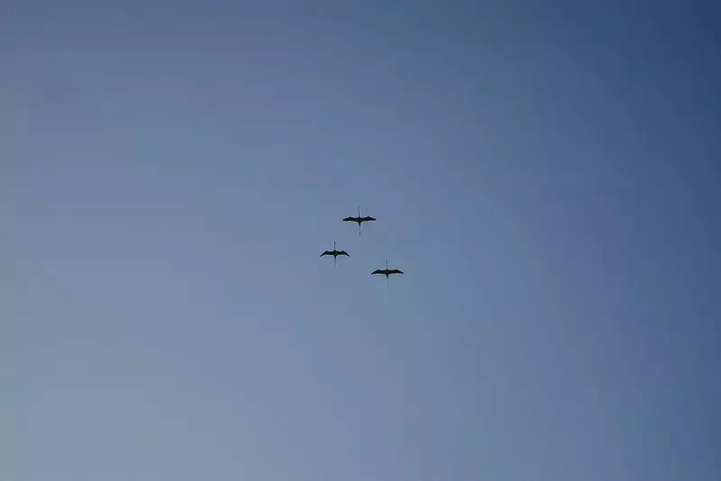 نمونه کار عکاسی مناظر توسط سعادت فر که در تاریخ 1404-08-21 ** چهارشنبه  **  ساعت 11:45PM بارگذاری شده است.