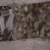 نمونه کار عکاسی مناظر توسط واعظی پور، ثبت شده در 2025-11-14
