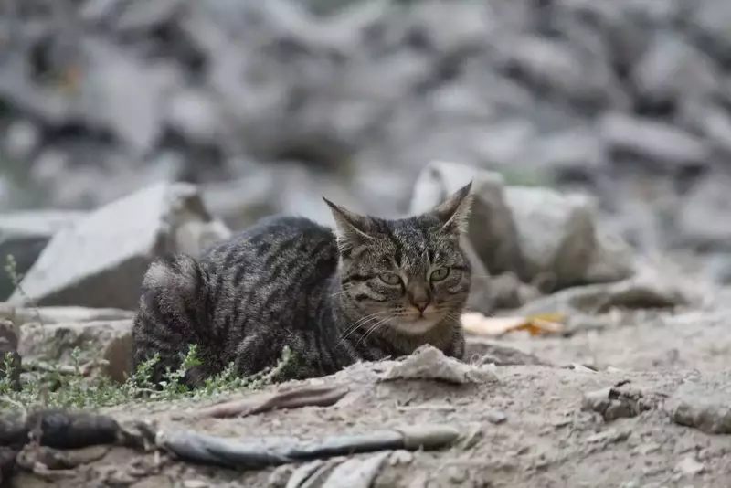 نمونه کار از غزل واعظی پور