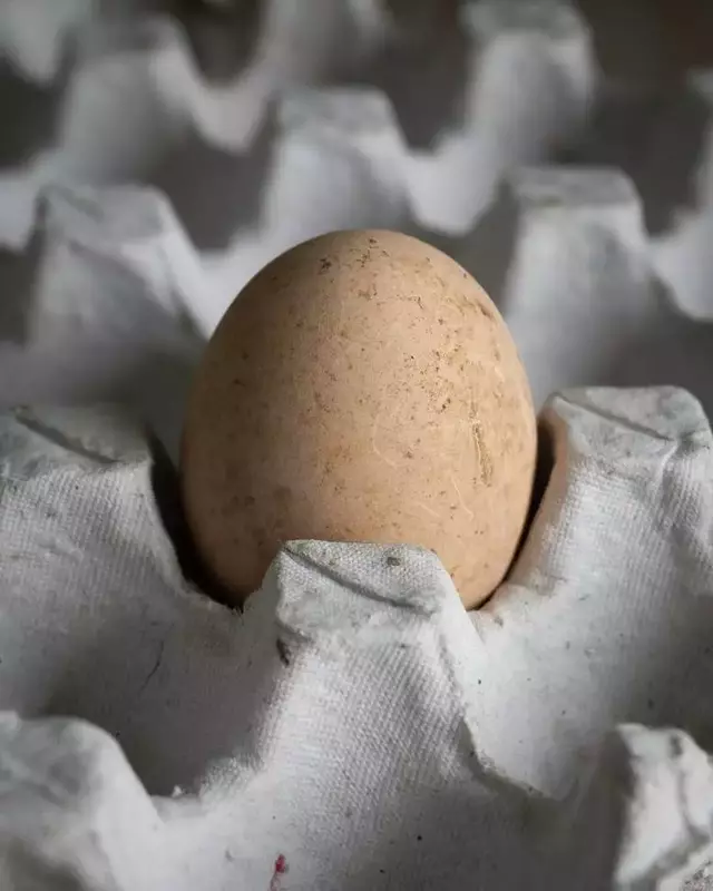 نمونه کار عکاسی الهه زارع