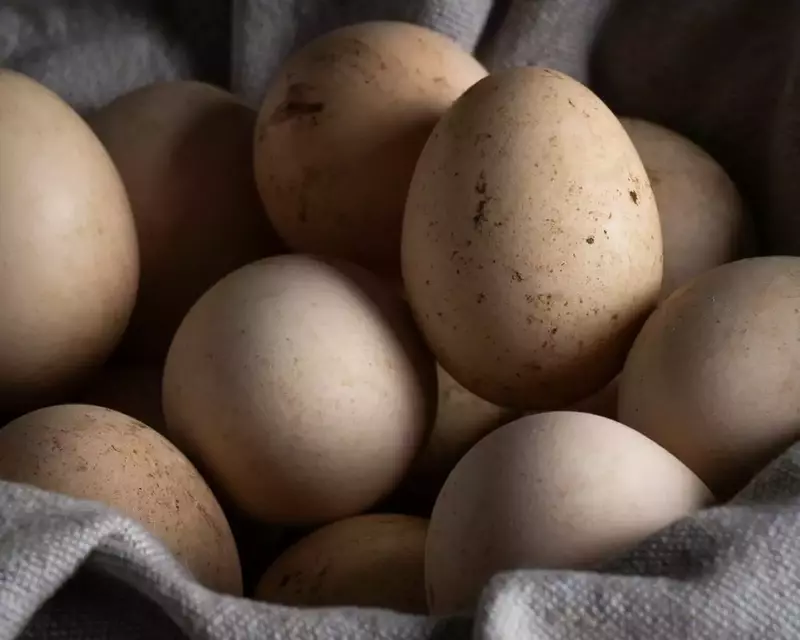 نمونه کار عکاسی الهه زارع