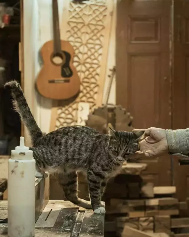 نمونه کار عکاسی الهه زارع