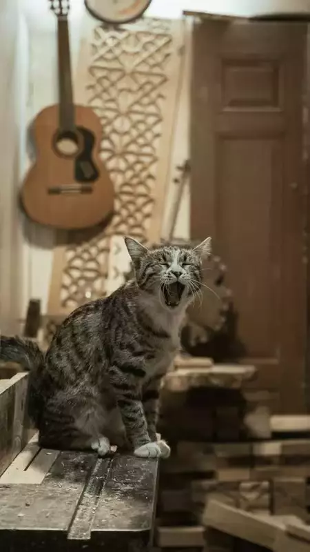 نمونه کار عکاسی الهه زارع