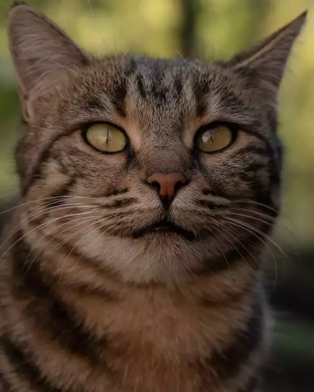 نمونه کار عکاسی الهه زارع