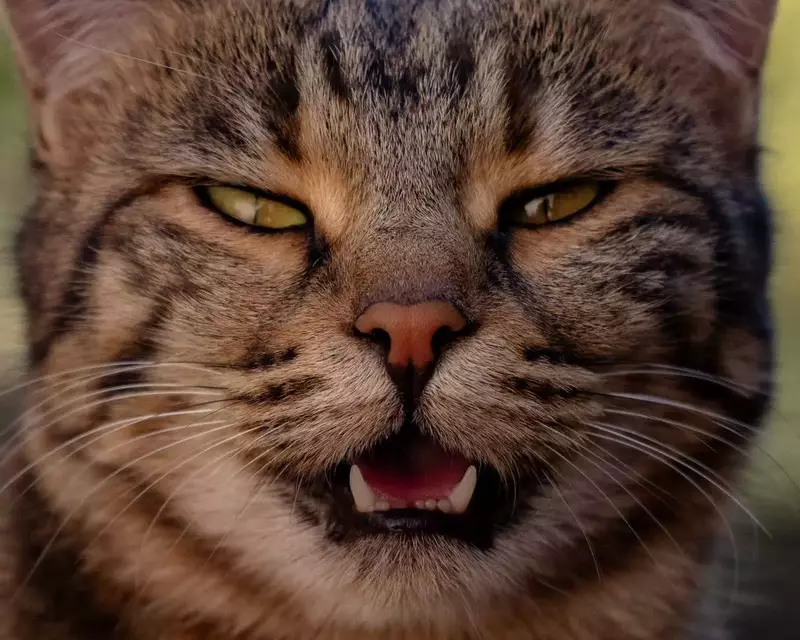 نمونه کار عکاسی الهه زارع